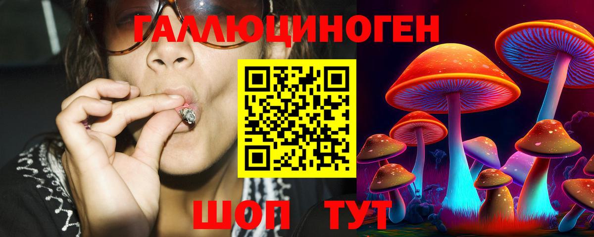 Псилоцибиновые грибы Cubensis Родники